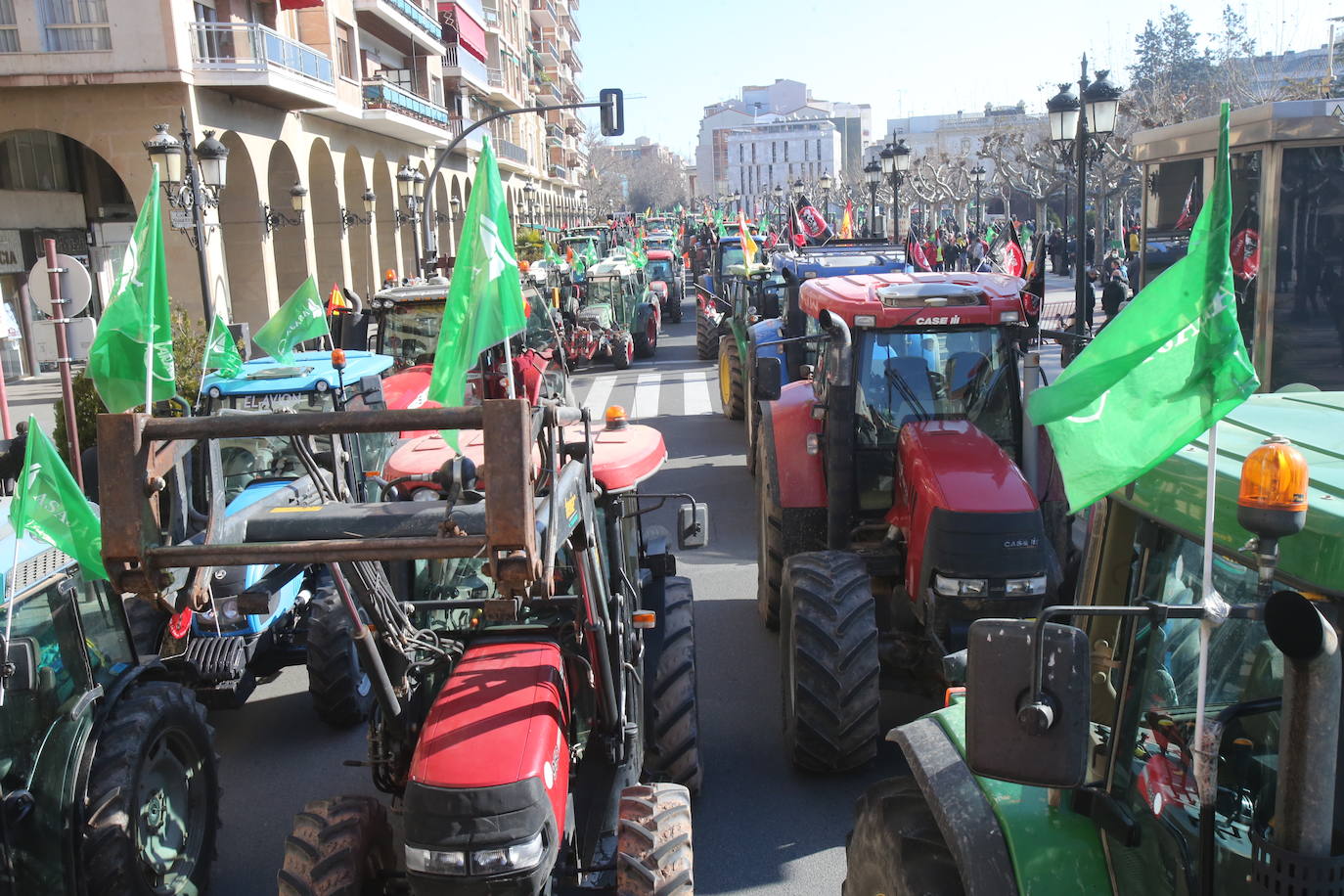 Fotos: La manifestación, a su paso por el centro de Logroño