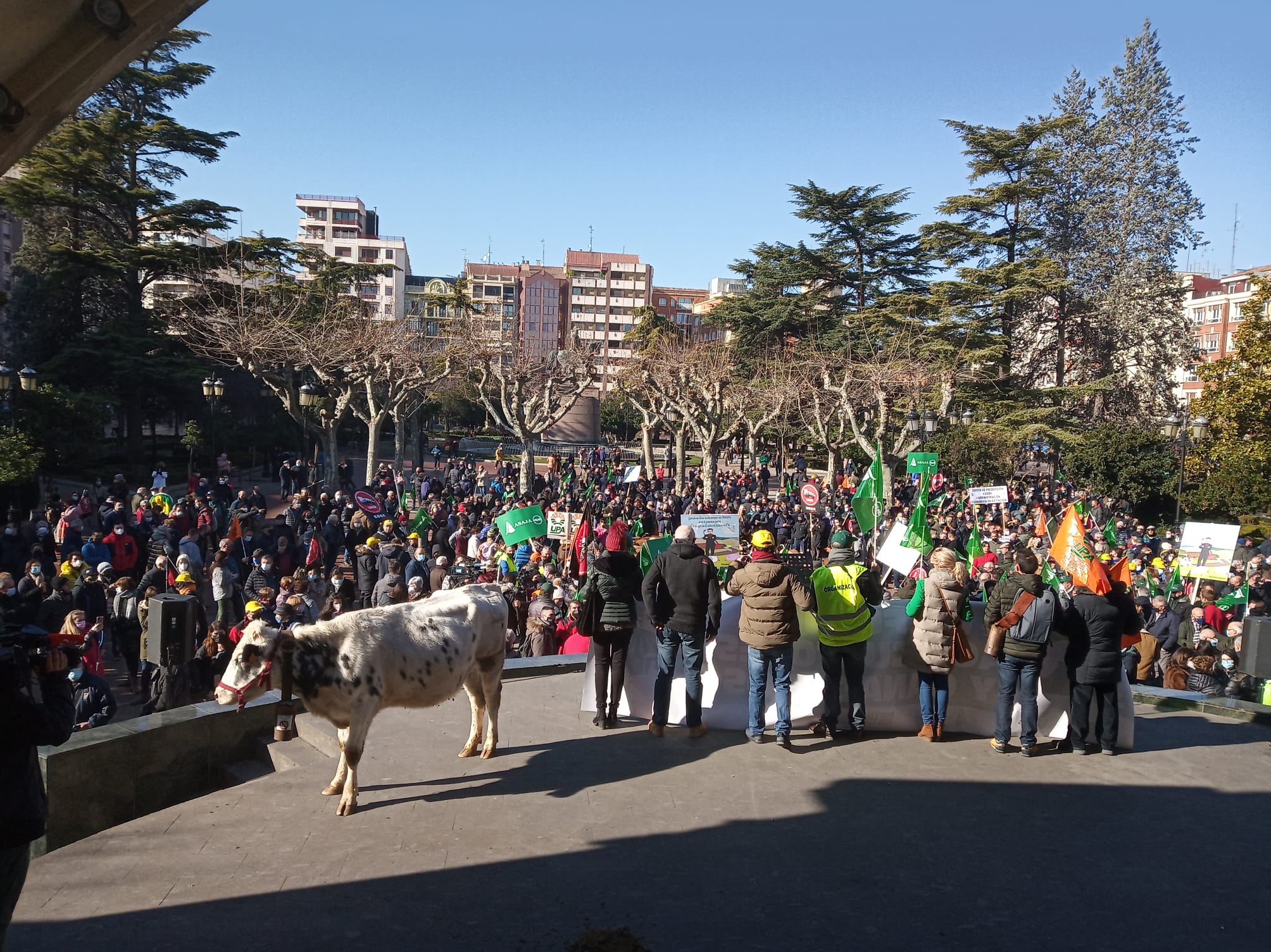 Fotos: La manifestación, a su paso por el centro de Logroño