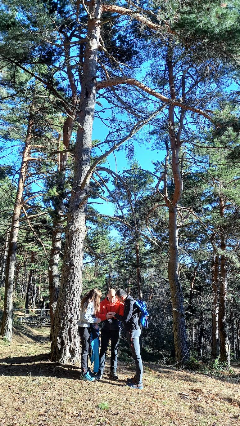 Fotos: Senderismo entre barrancos, pinos, robles y hayas