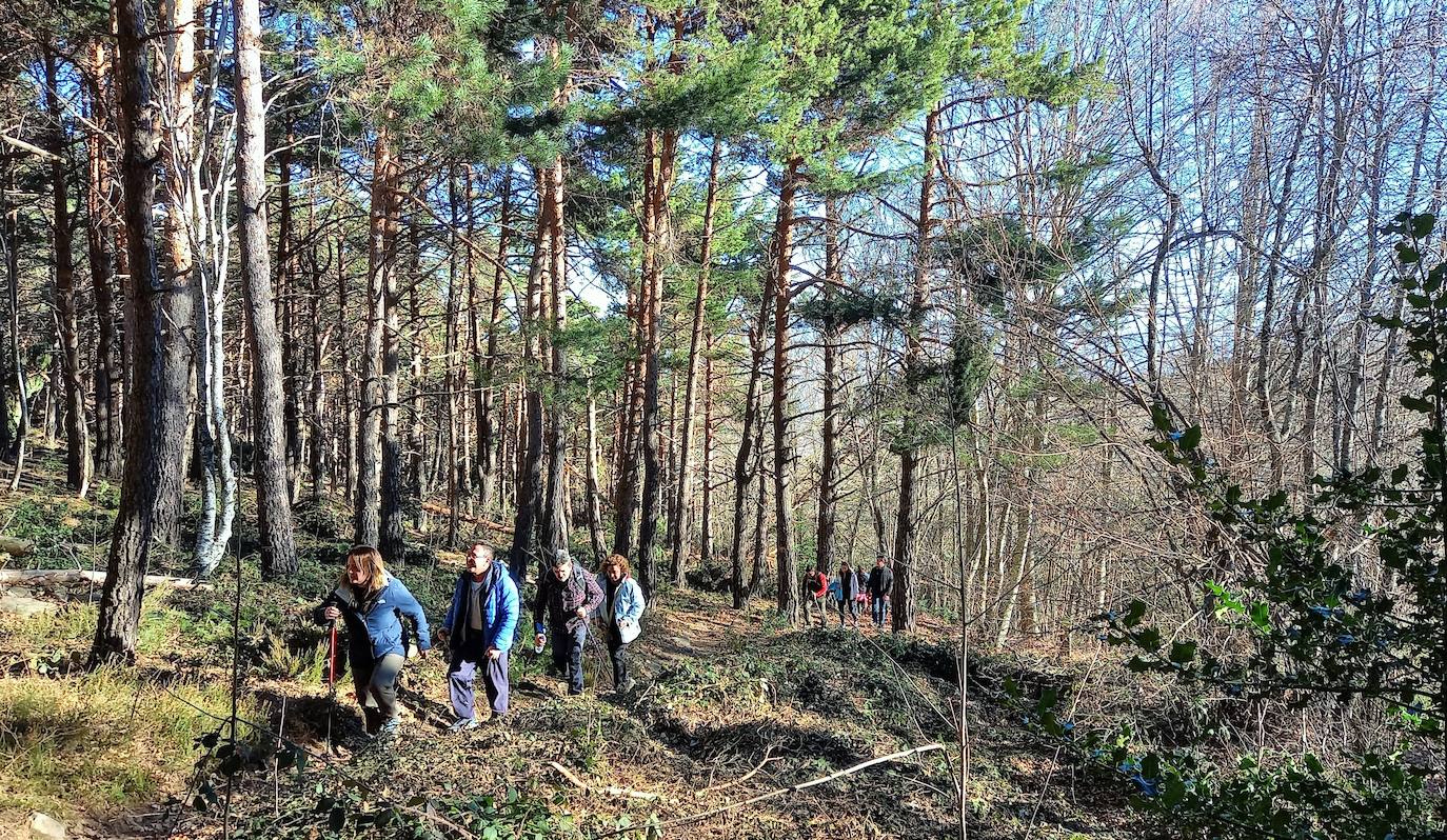 Fotos: Senderismo entre barrancos, pinos, robles y hayas