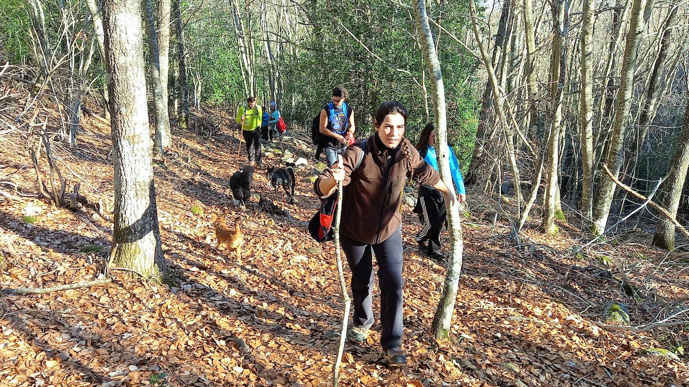 Fotos: Senderismo entre barrancos, pinos, robles y hayas