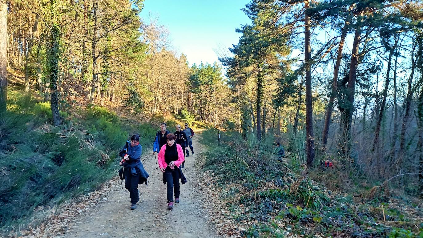 Fotos: Senderismo entre barrancos, pinos, robles y hayas