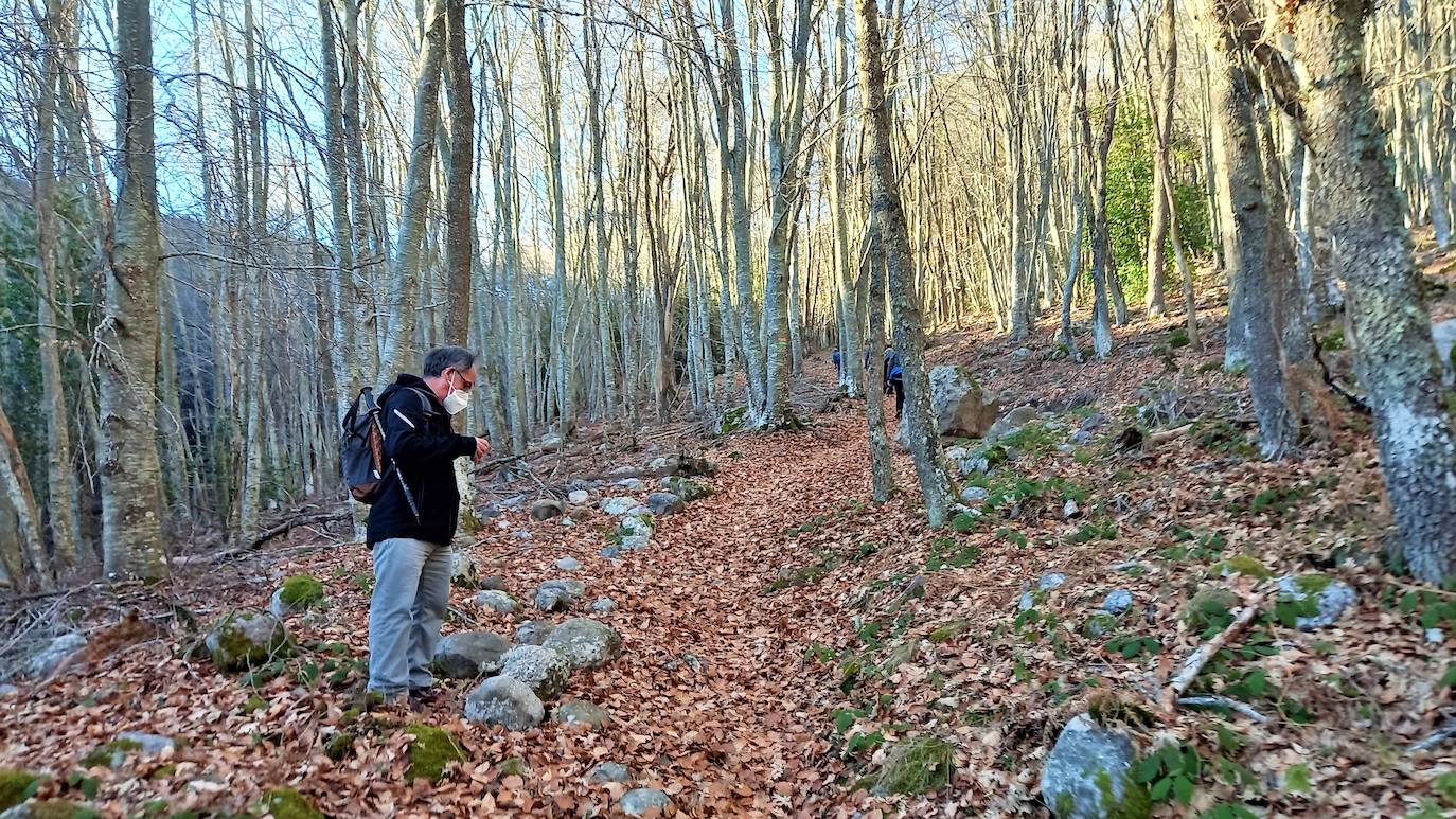Fotos: Senderismo entre barrancos, pinos, robles y hayas
