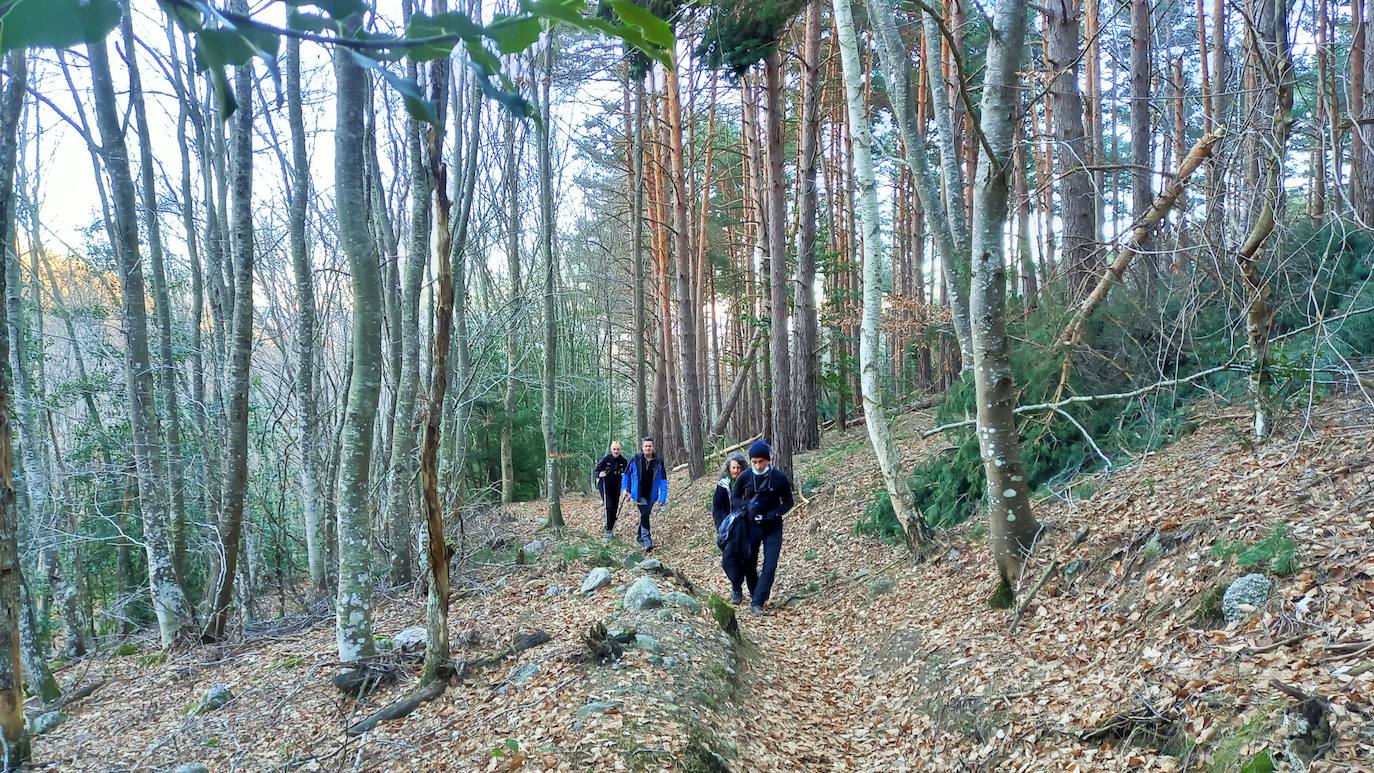 Fotos: Senderismo entre barrancos, pinos, robles y hayas