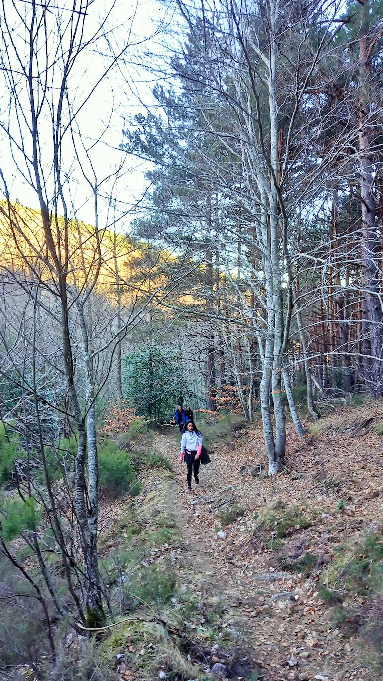 Fotos: Senderismo entre barrancos, pinos, robles y hayas