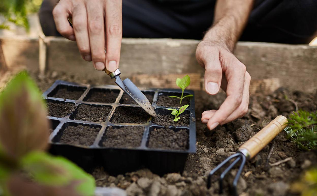 Finaliza el proceso participativo en el primer Plan de Agricultura Ecológica