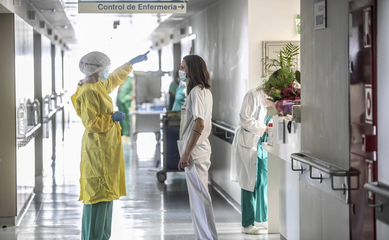 Imagen de los pasillos del Hospital San Pedro de Logroño, el pasado enero. 