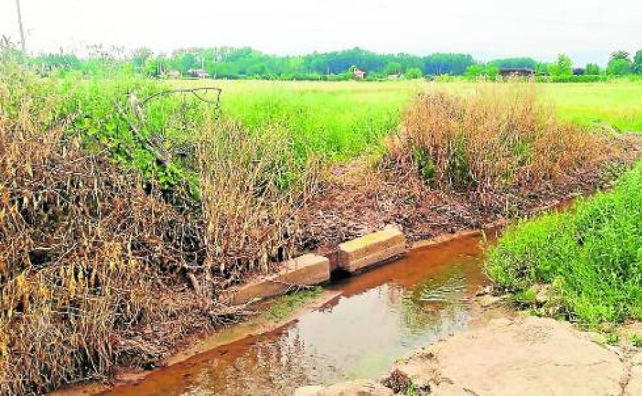 Amigos de la Tierra reclama a la CHE que no archive las denuncias de vertidos al Iregua