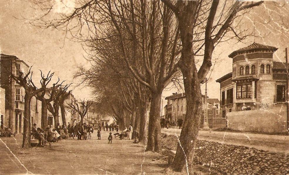 Una antigua fotografía del Espolón calceatense, en la que pueden verse los castaños que había. 