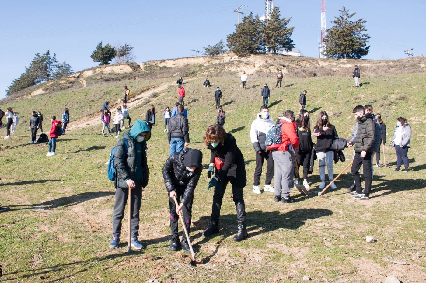 El cerro de Santa Lucía se llenó ayer de actividad con motivo de la plantación de árboles. 