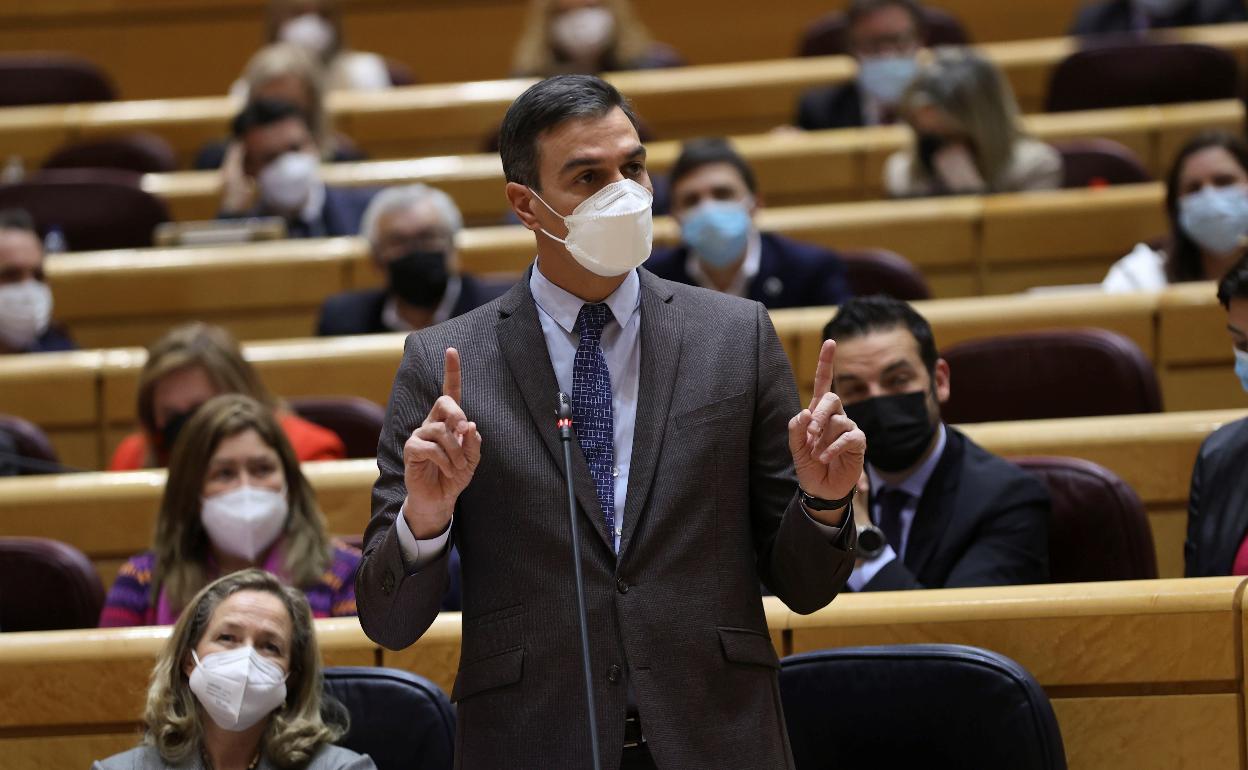 El presidente del Gobierno, Pedro Sánchez, este martes en la sesión de control al Gobierno en el Senado. 