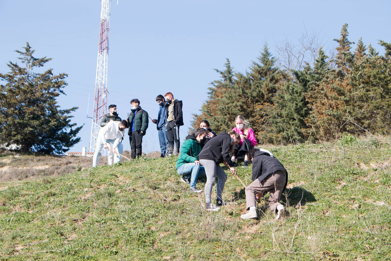 Fotos: Los alumnos del IES Ciudad de Haro plantan árboles en el cerro de Santa Lucía