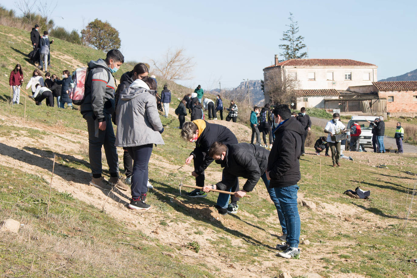 Fotos: Los alumnos del IES Ciudad de Haro plantan árboles en el cerro de Santa Lucía