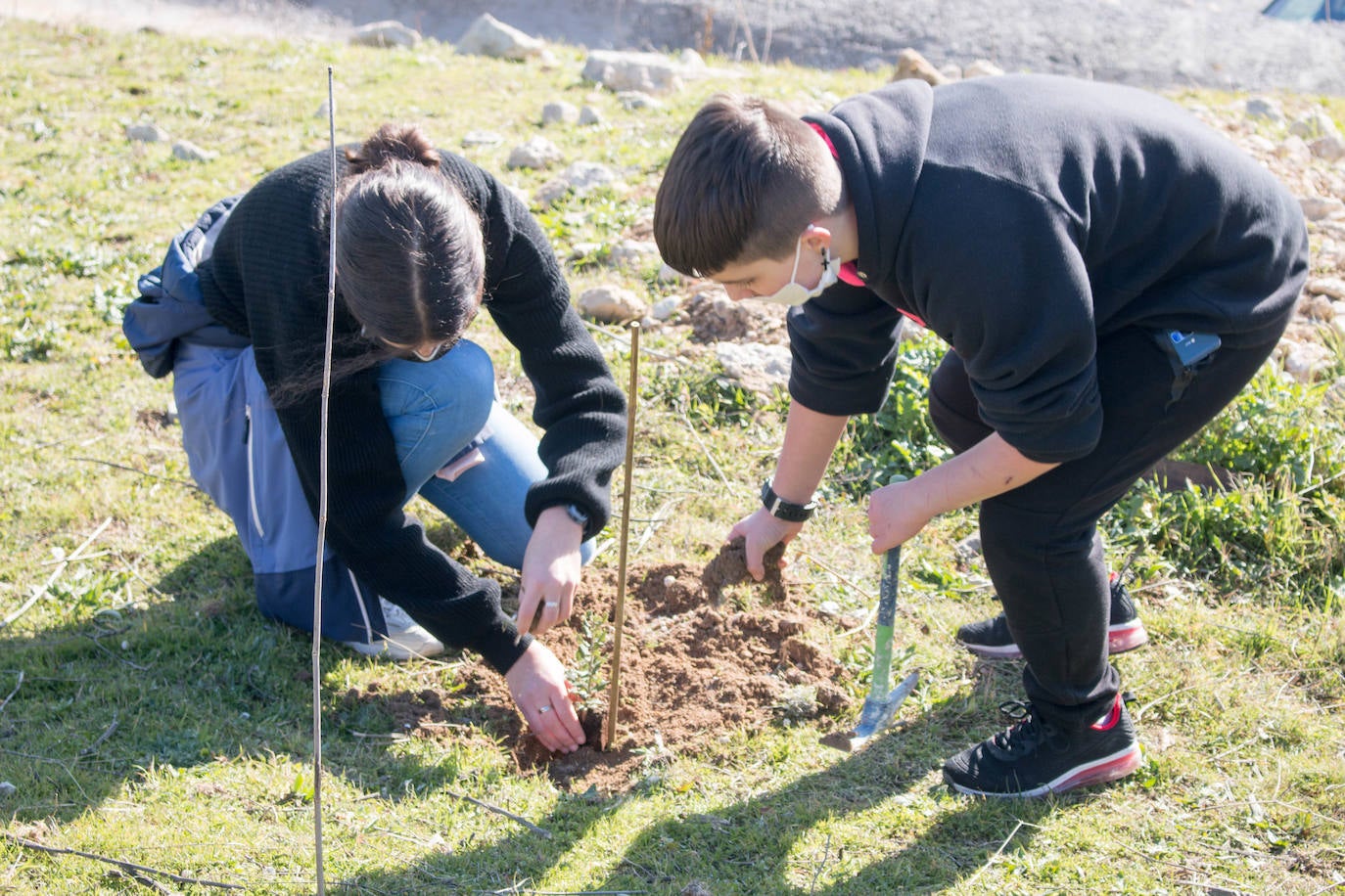 Fotos: Los alumnos del IES Ciudad de Haro plantan árboles en el cerro de Santa Lucía