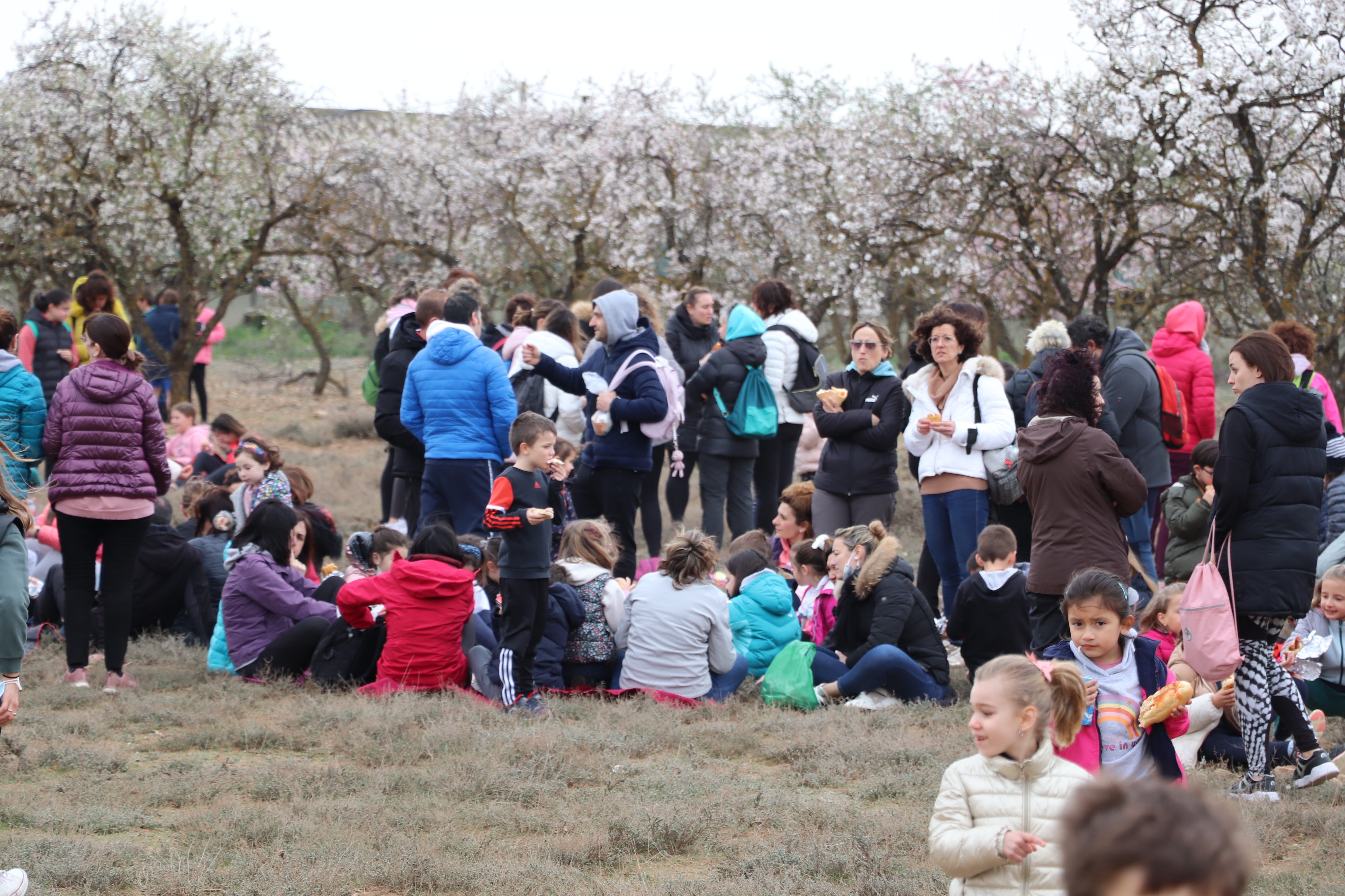 Fotos: Alfaro celebra el Jueves Lardero