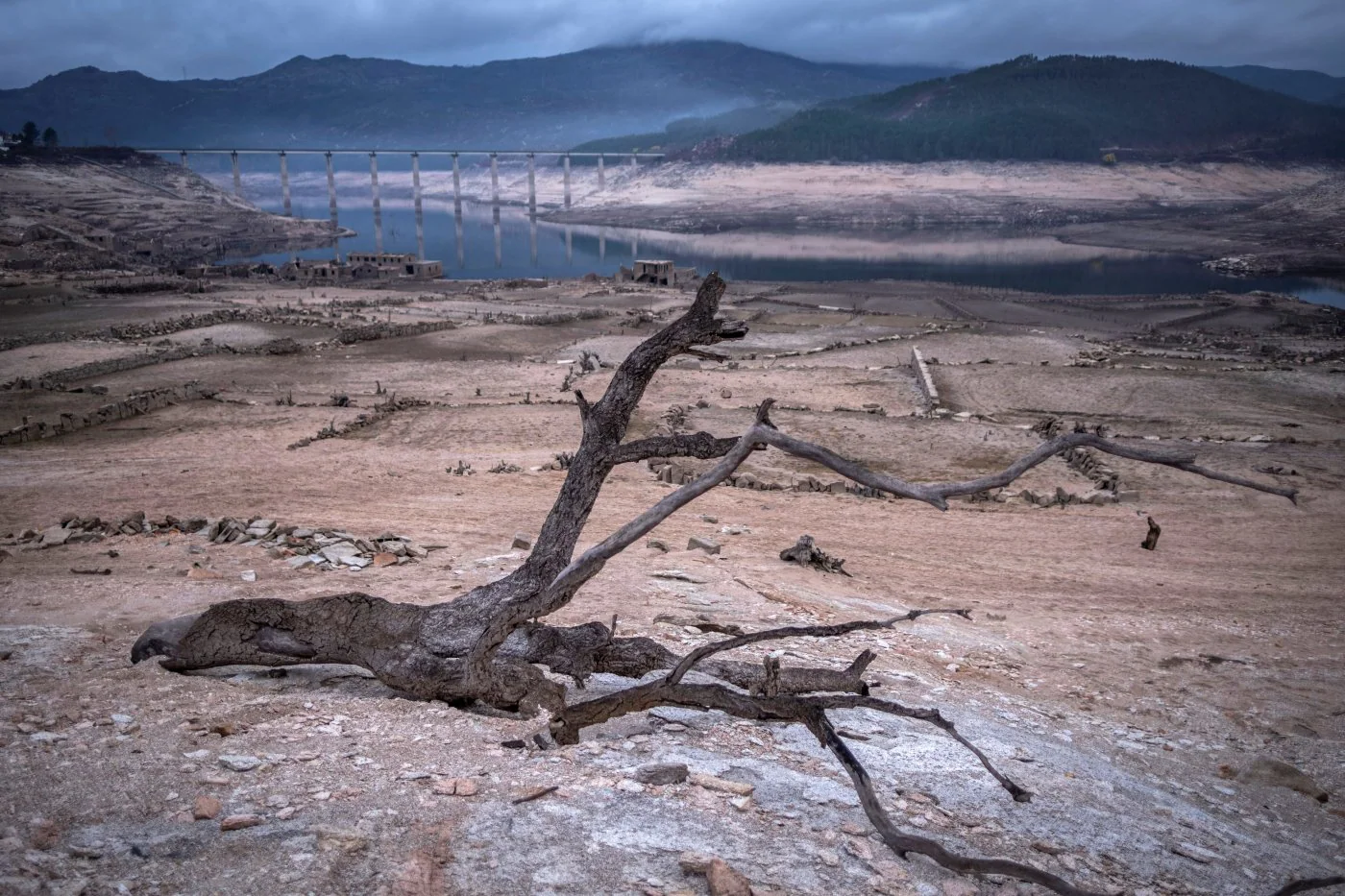 La sequía es una de las consecuencias más evidentes del cambio climático. 