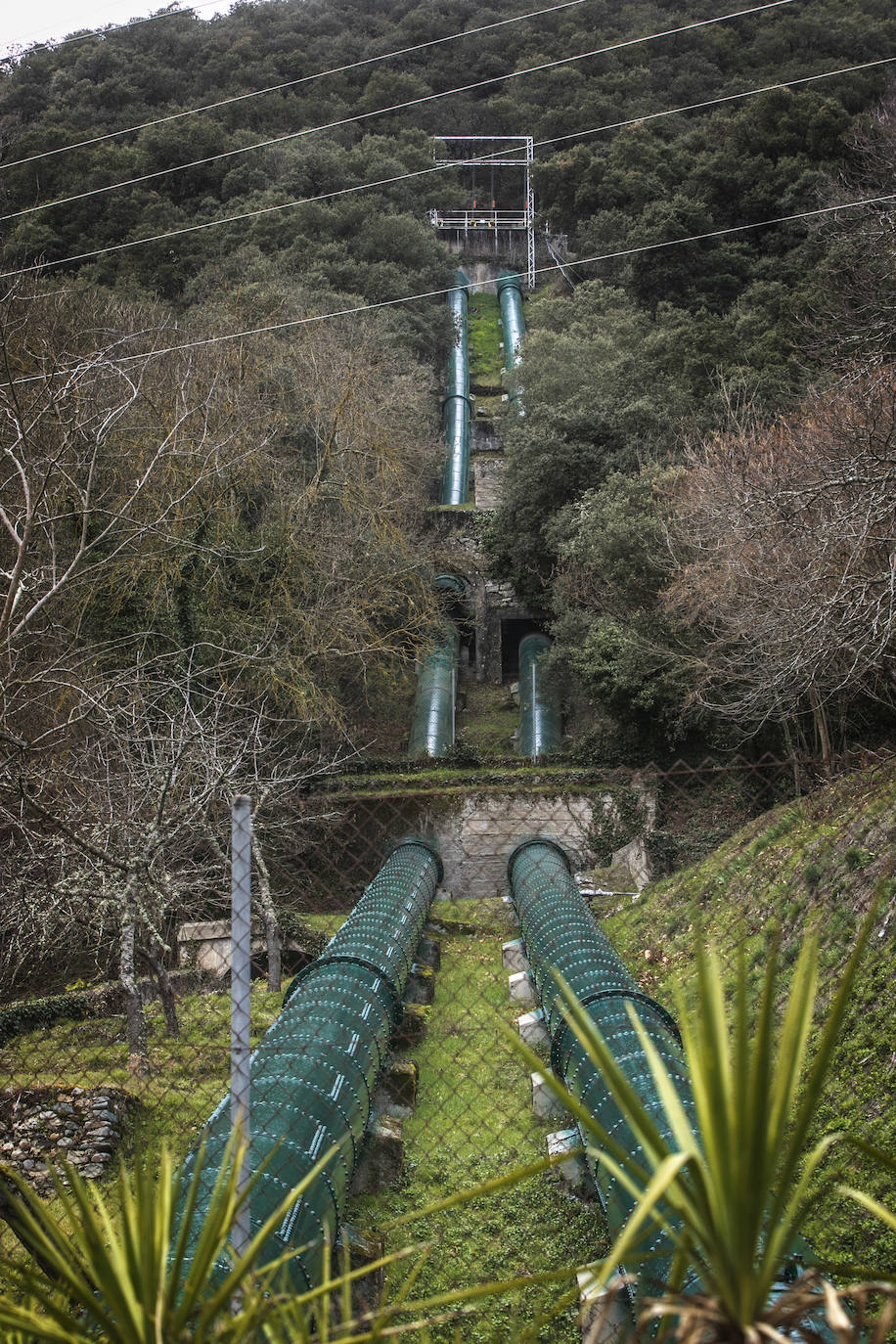 Fotos: Central hidroeléctrica de Anguiano, la energía que nace del agua y del bosque