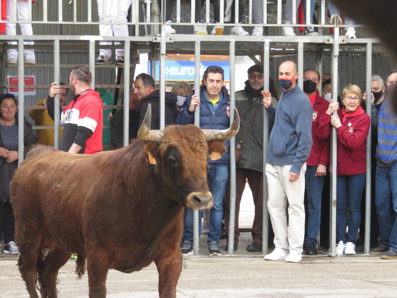 Fotos: Multitudinaria jornada en Fiestas de Arnedo