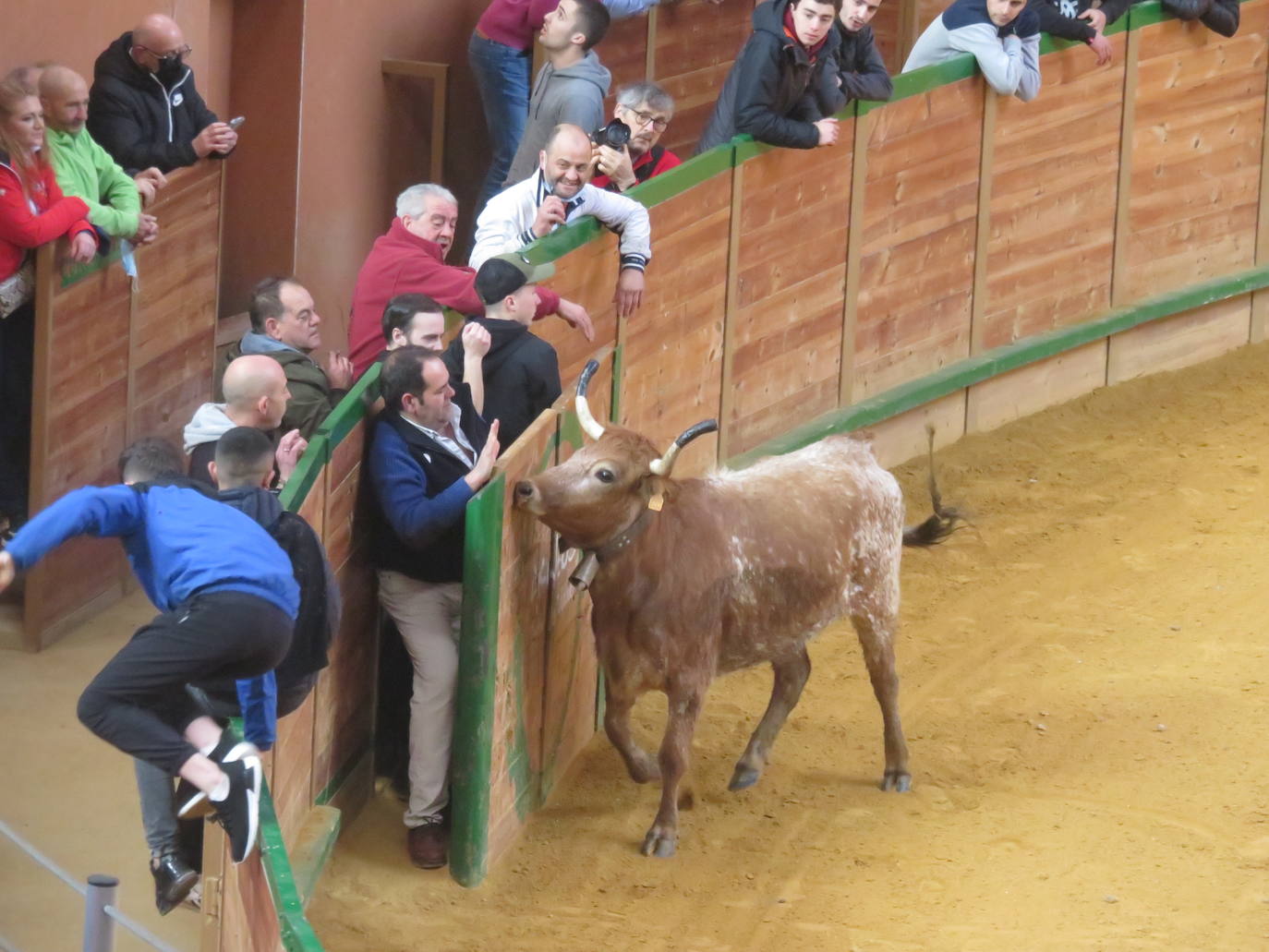 Fotos: Multitudinaria jornada en Fiestas de Arnedo