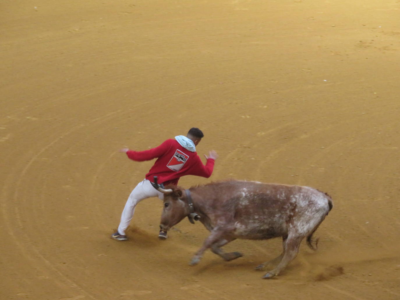 Fotos: Multitudinaria jornada en Fiestas de Arnedo