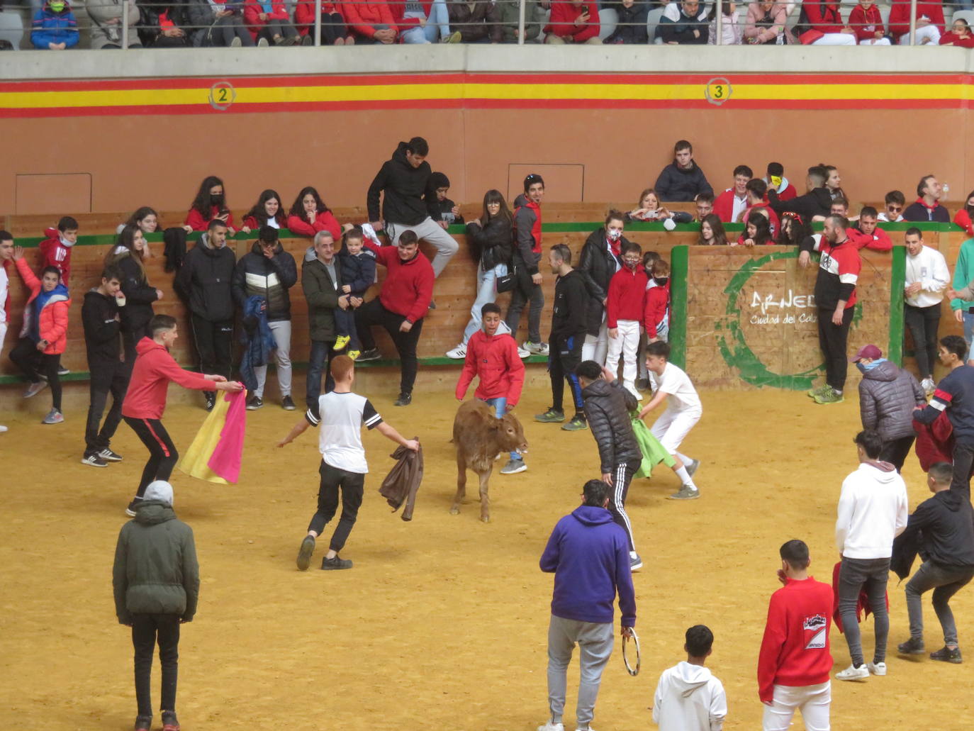 Fotos: Multitudinaria jornada en Fiestas de Arnedo