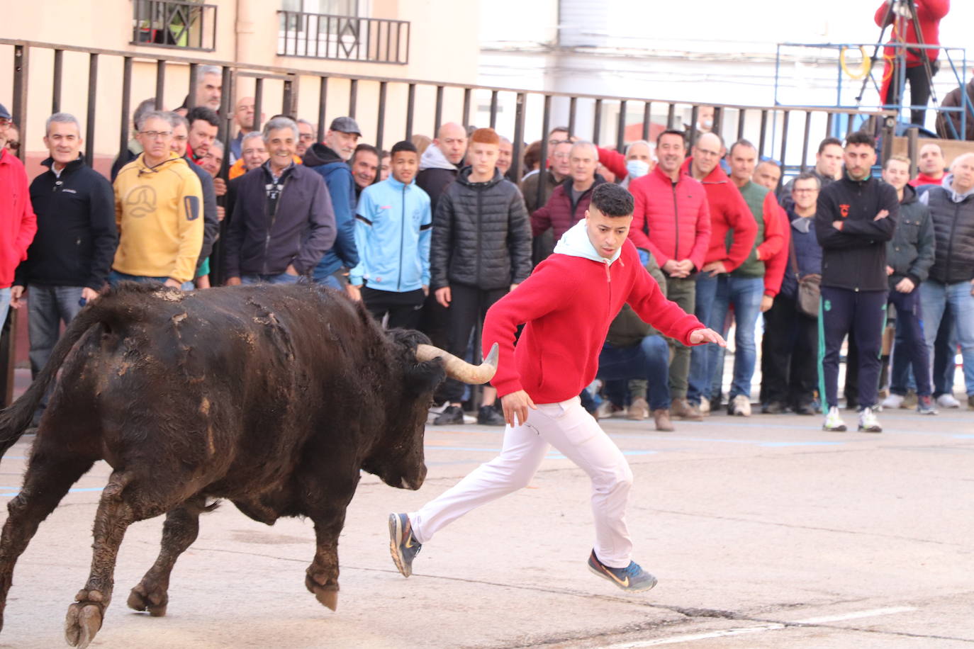 Fotos: Multitudinaria jornada en Fiestas de Arnedo