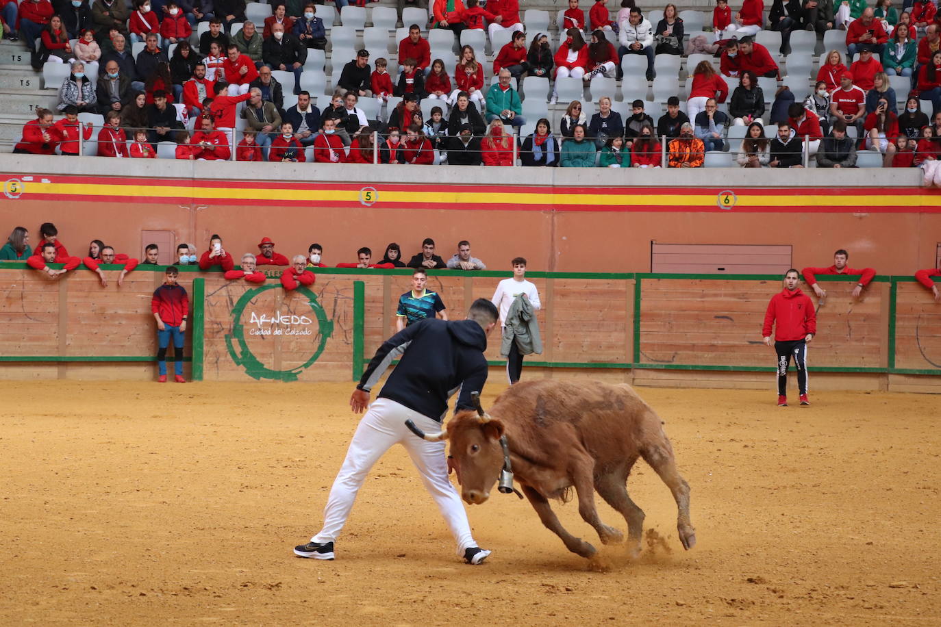 Fotos: Multitudinaria jornada en Fiestas de Arnedo