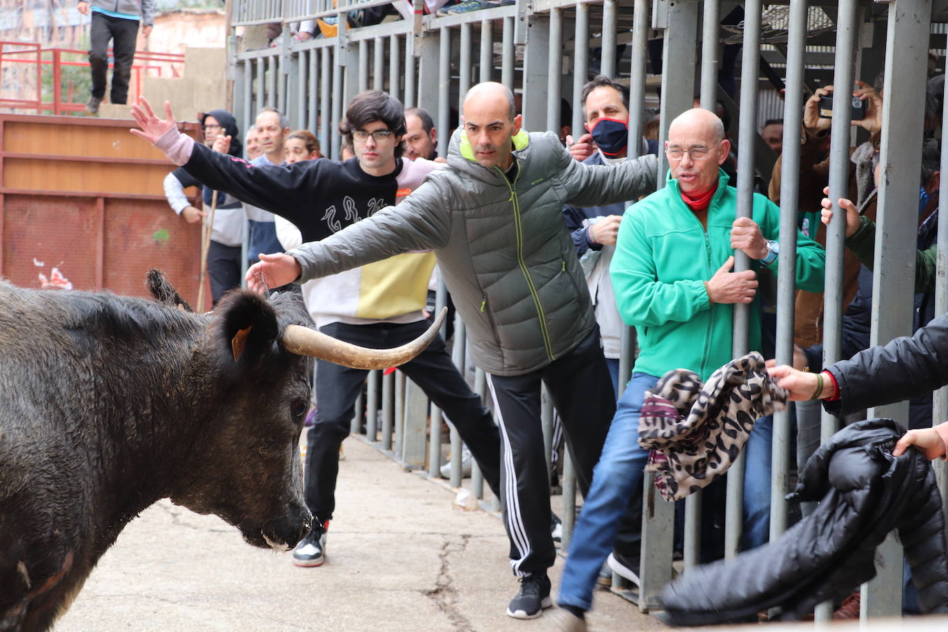 Fotos: Terminan las fiestas por San José de Arnedo