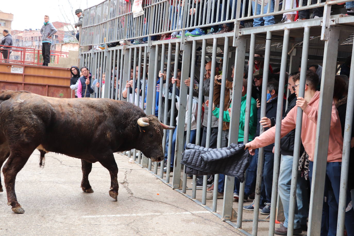 Fotos: Terminan las fiestas por San José de Arnedo