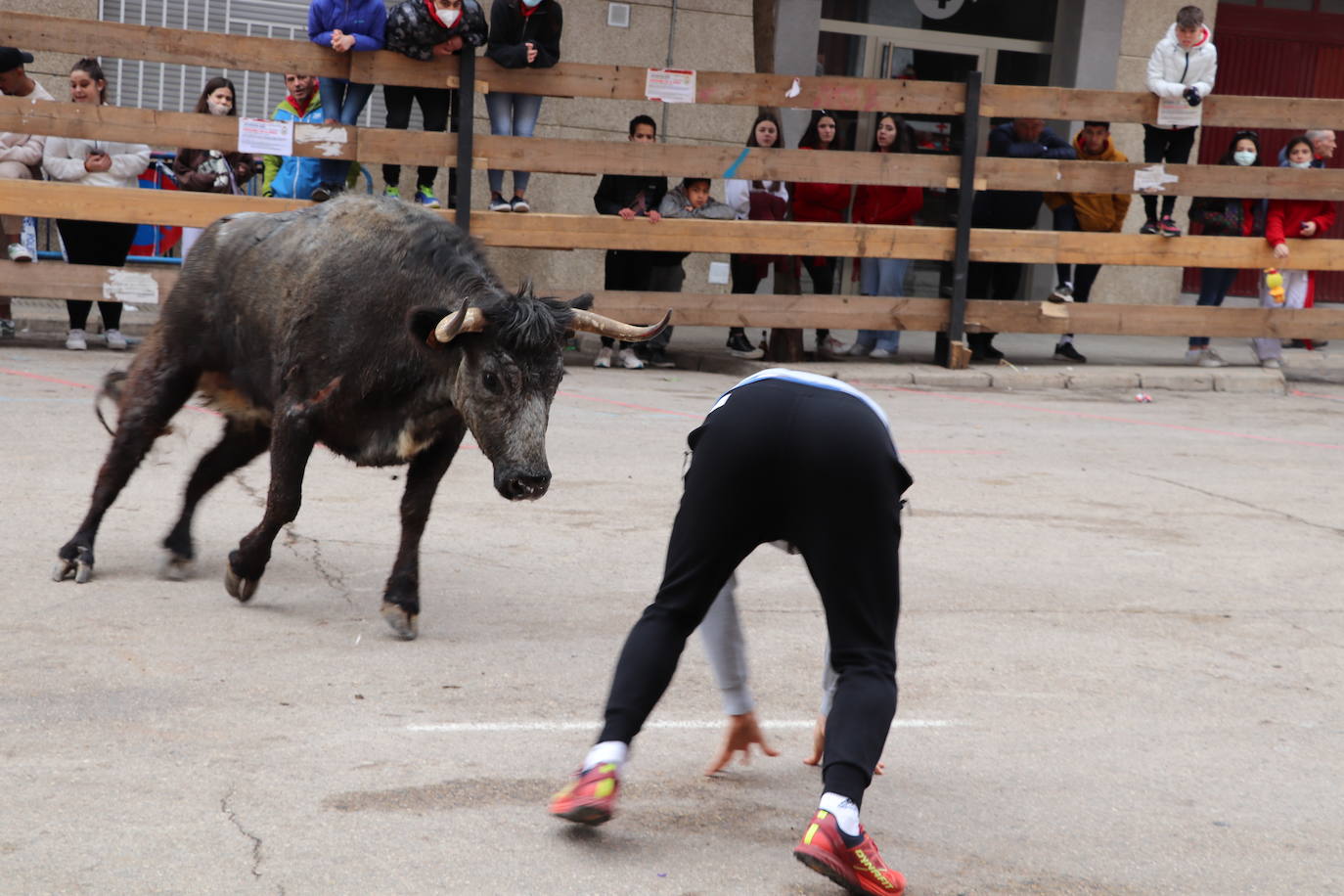 Fotos: Terminan las fiestas por San José de Arnedo