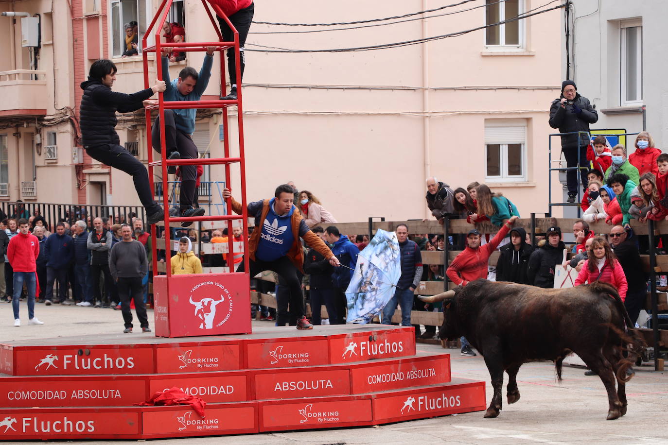 Fotos: Terminan las fiestas por San José de Arnedo