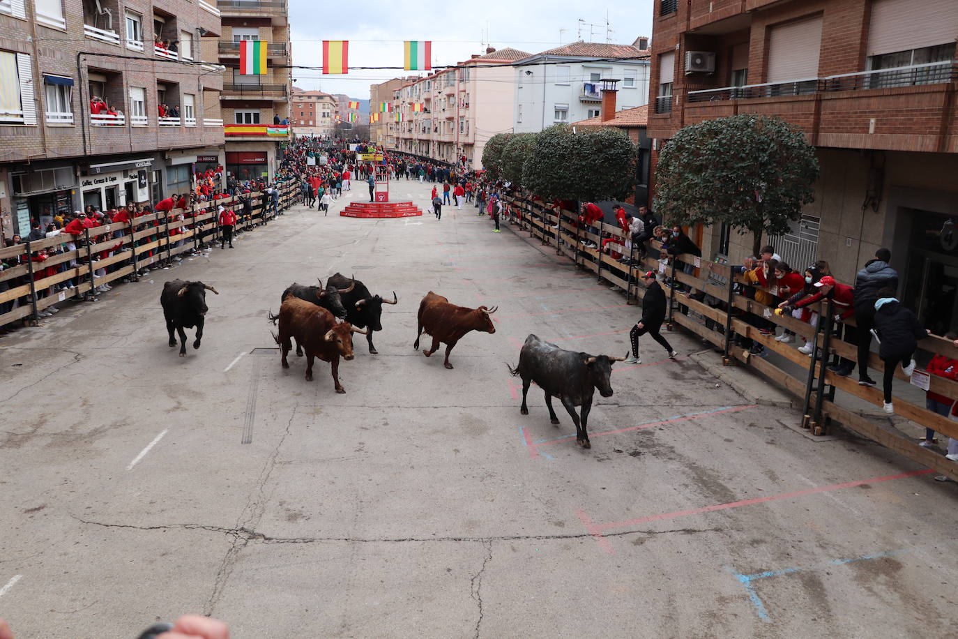 Fotos: Terminan las fiestas por San José de Arnedo