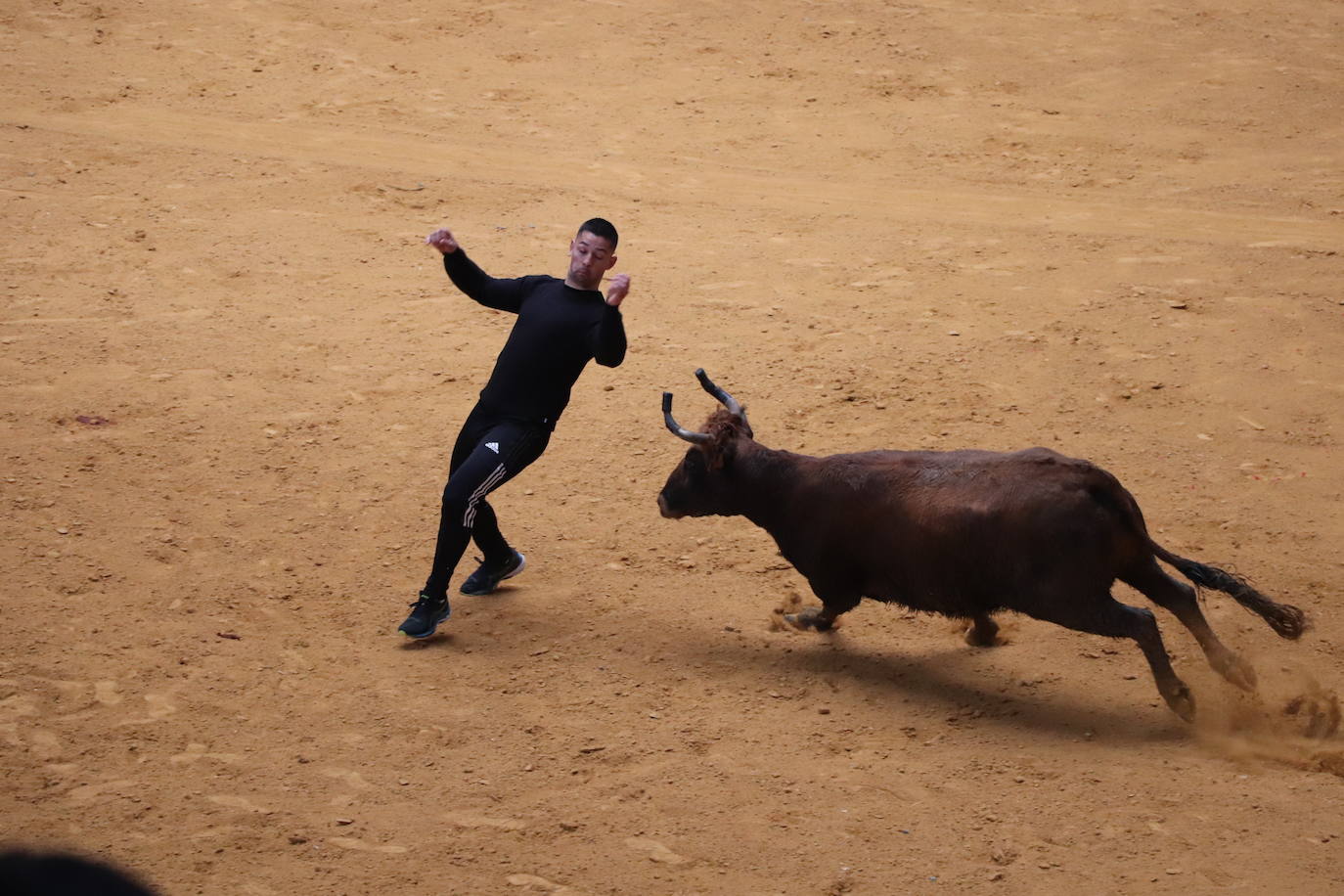 Fotos: Terminan las fiestas por San José de Arnedo