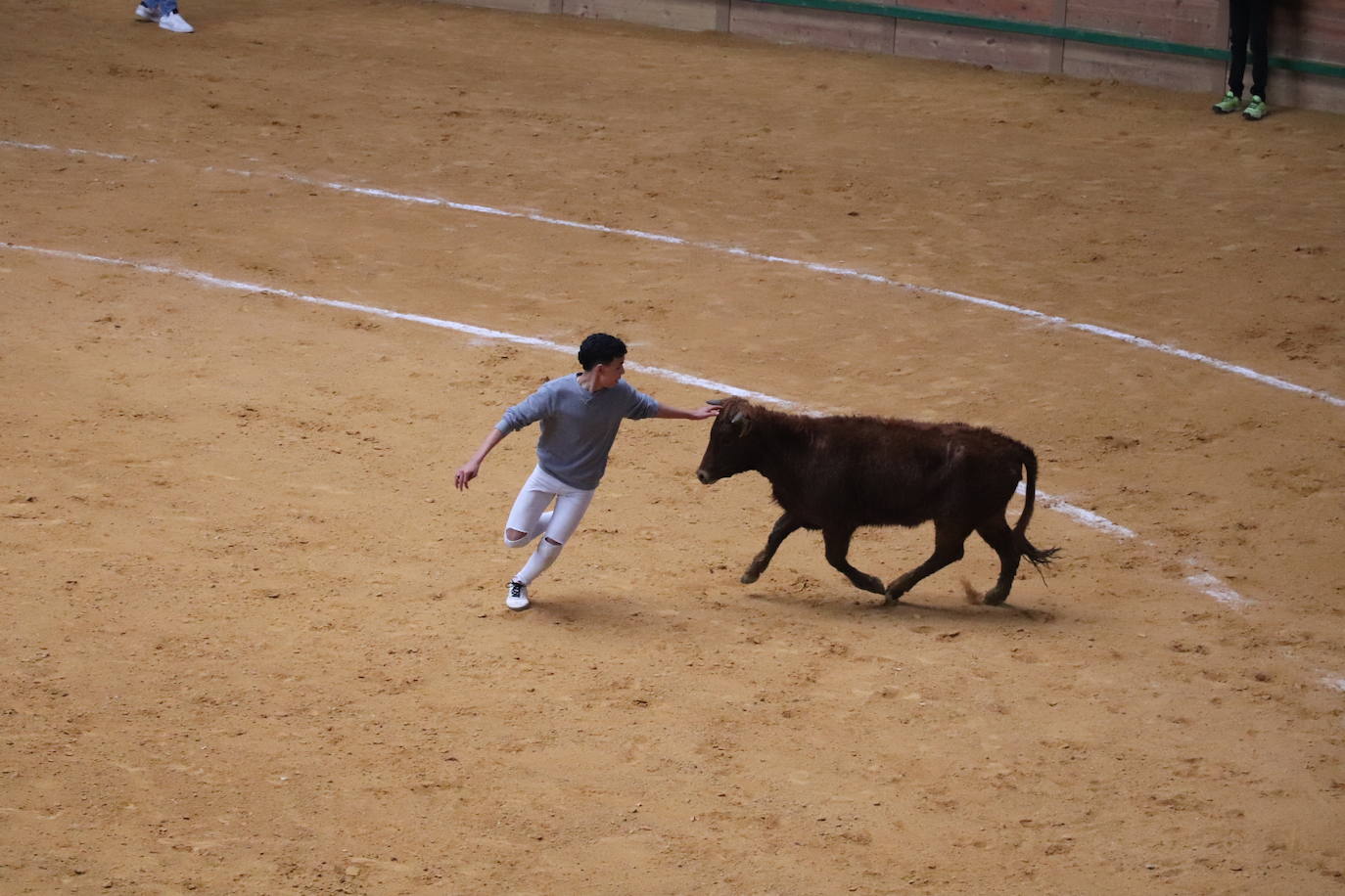 Fotos: Terminan las fiestas por San José de Arnedo