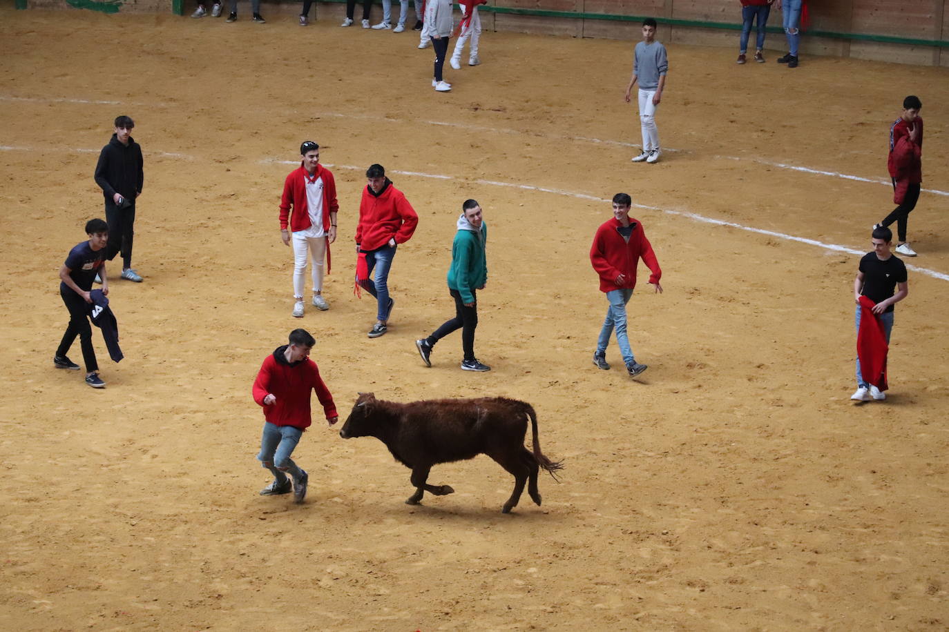 Fotos: Terminan las fiestas por San José de Arnedo