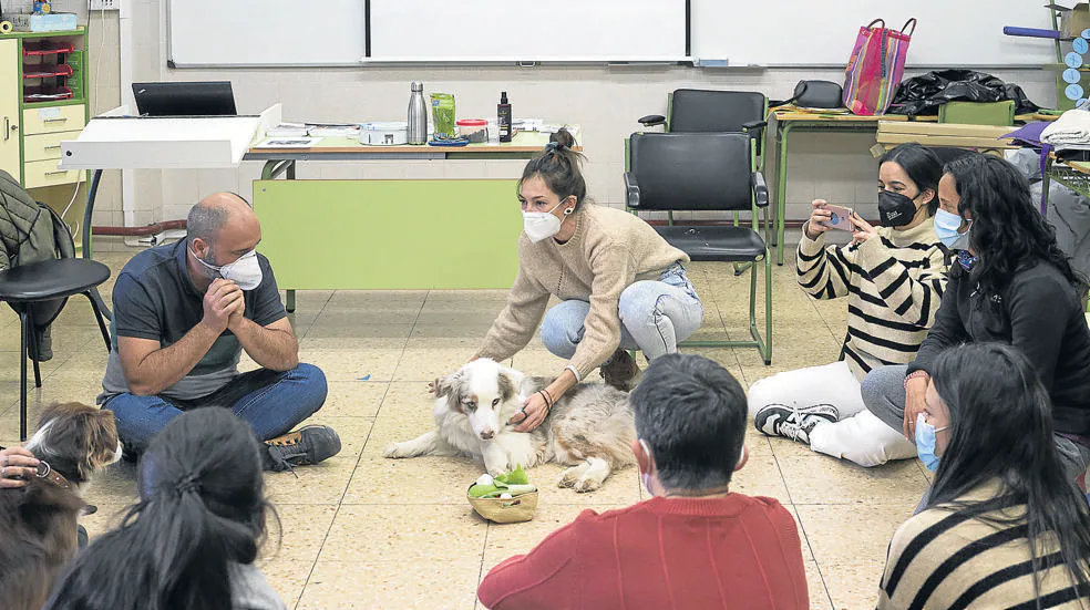 Sesión formativa de profesores con los perros Poliki y Tirma previa al inicio del proyecto. 