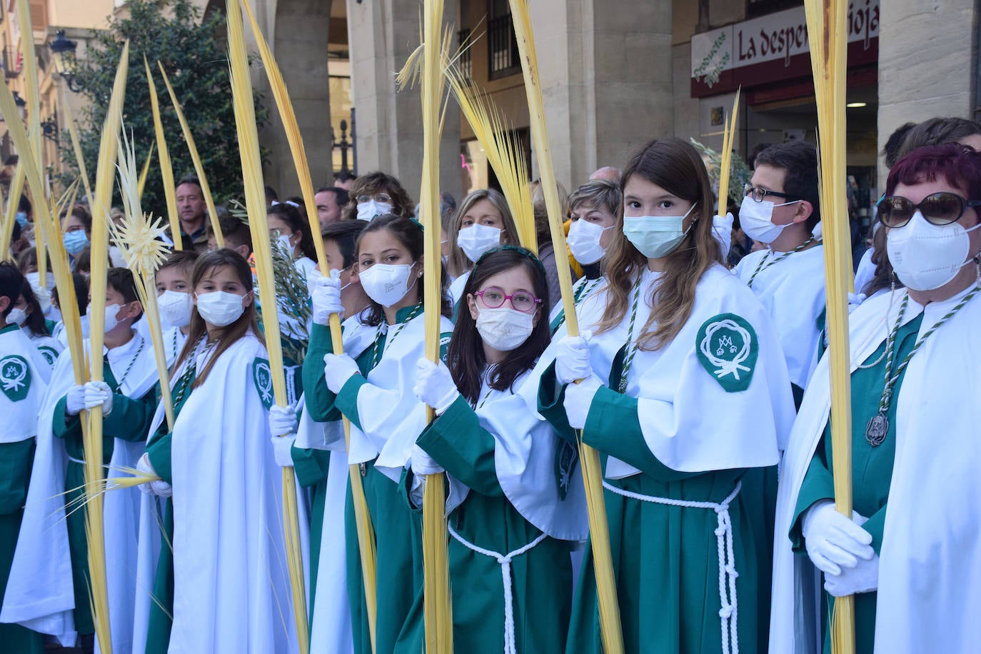 Fotos: Los niños protagonizan la procesión de la Borriquilla de Logroño