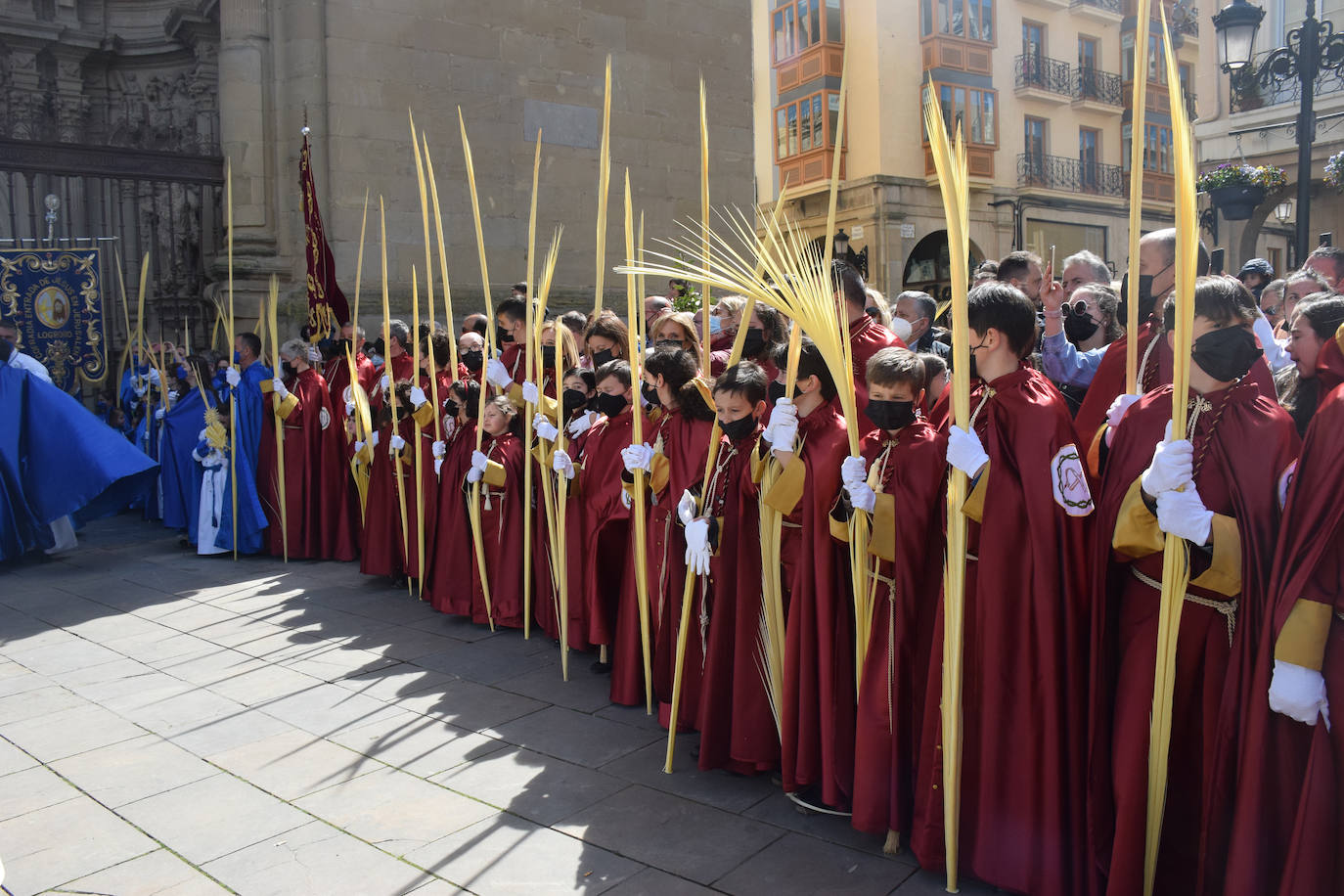 Fotos: Los niños protagonizan la procesión de la Borriquilla de Logroño