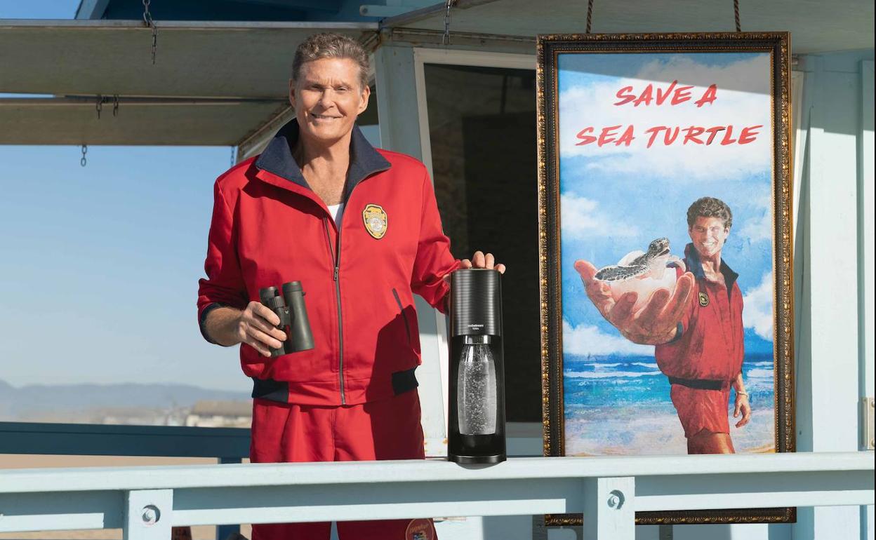 El actor David Hasselhoff quiere salvar a las torturas marinas.