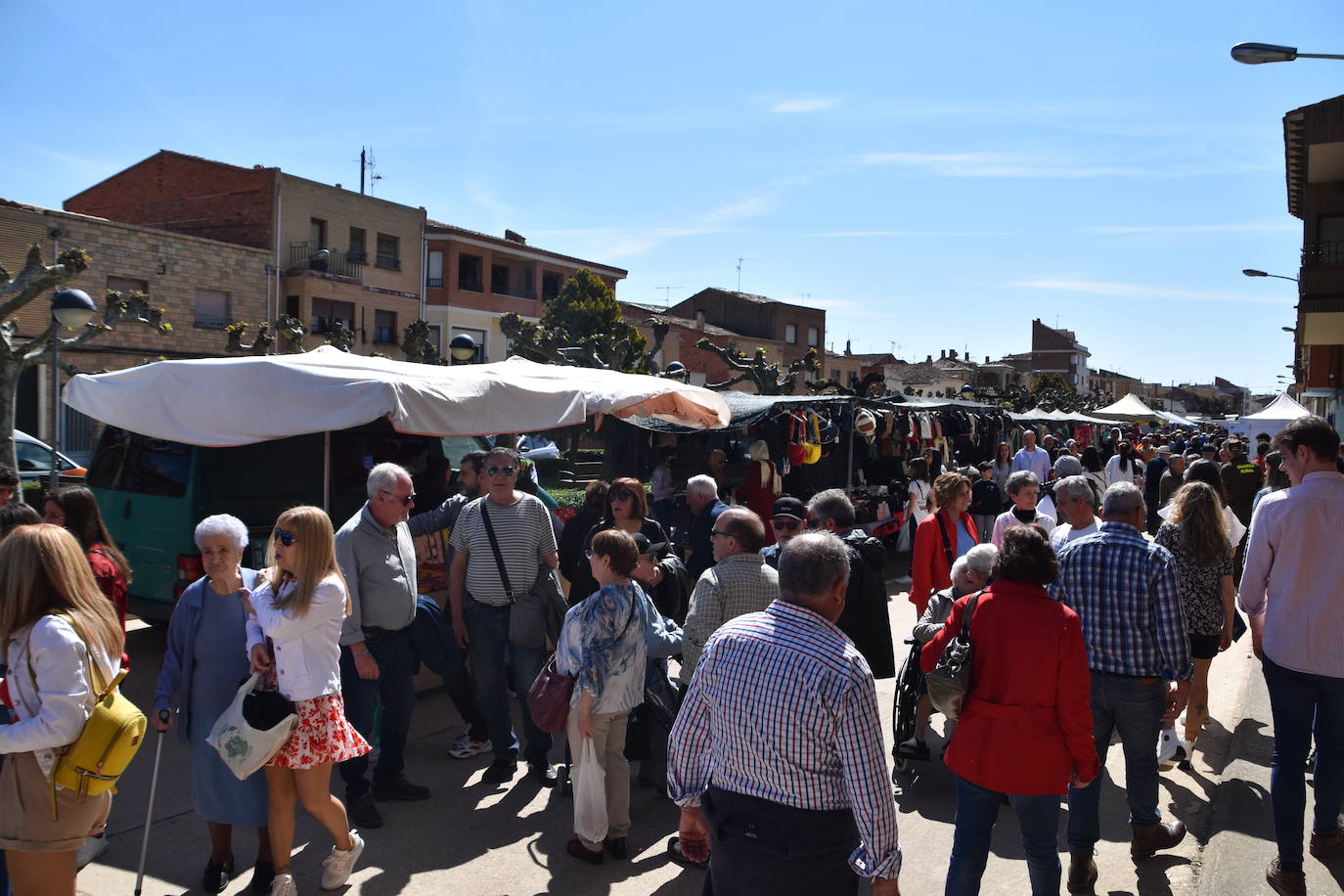 Fotos: Feria del ganado equino en Rincón de Soto