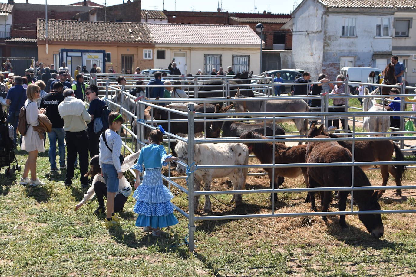 Fotos: Feria del ganado equino en Rincón de Soto