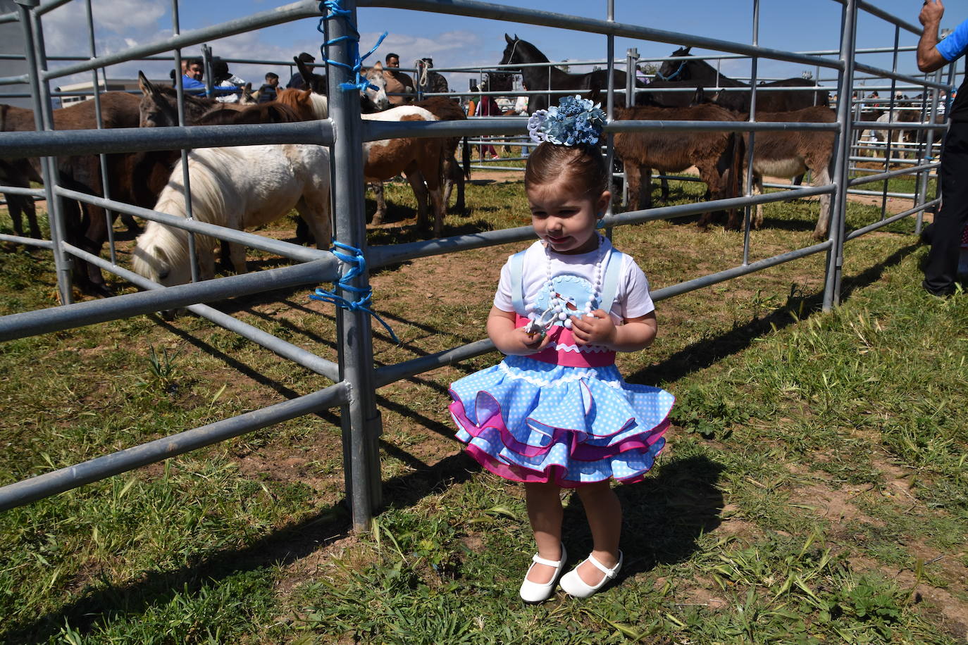 Fotos: Feria del ganado equino en Rincón de Soto