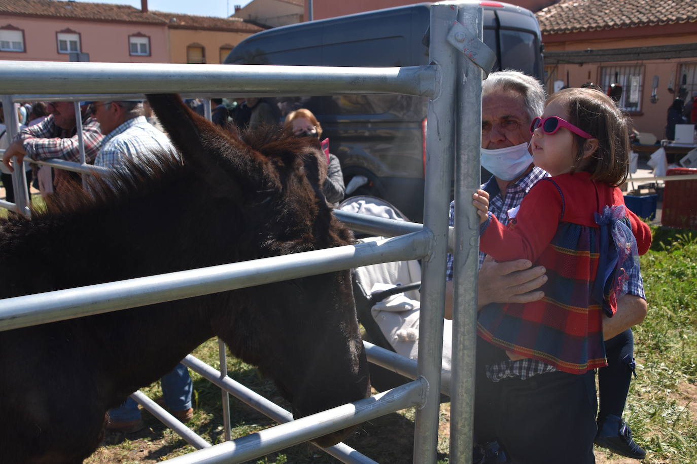 Fotos: Feria del ganado equino en Rincón de Soto