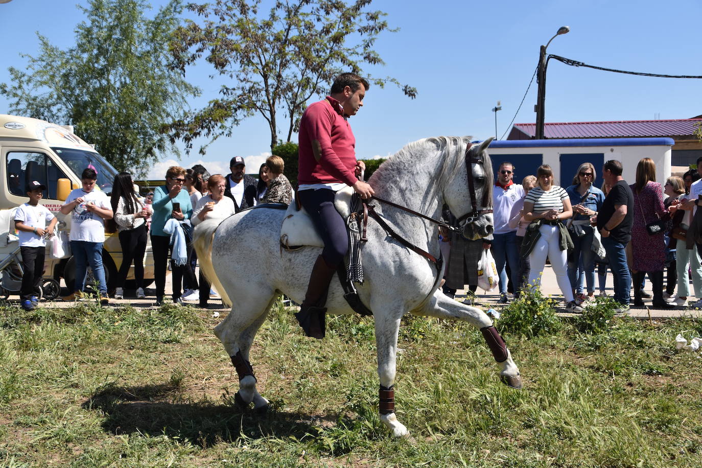 Fotos: Feria del ganado equino en Rincón de Soto