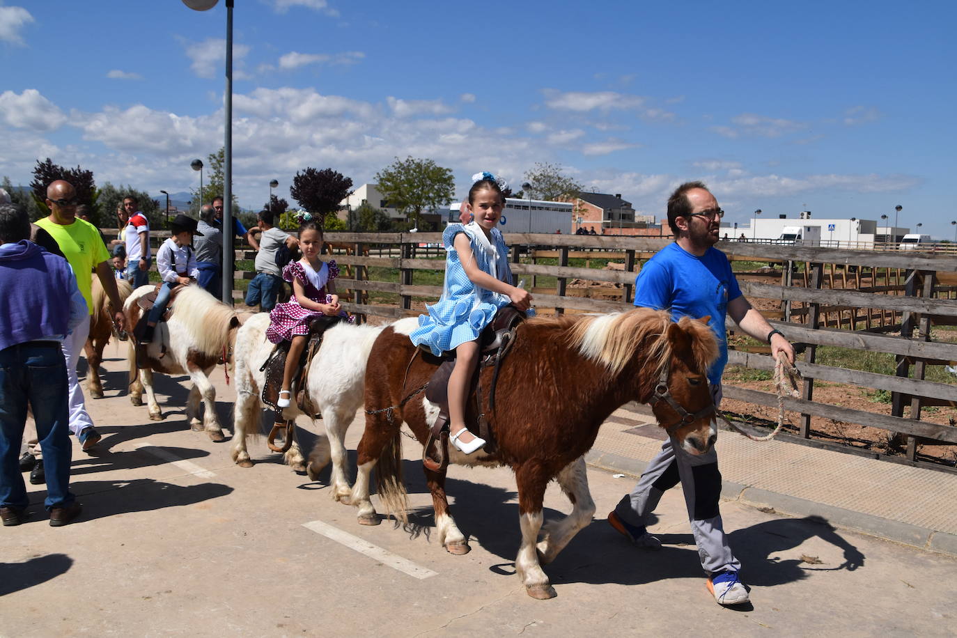 Fotos: Feria del ganado equino en Rincón de Soto