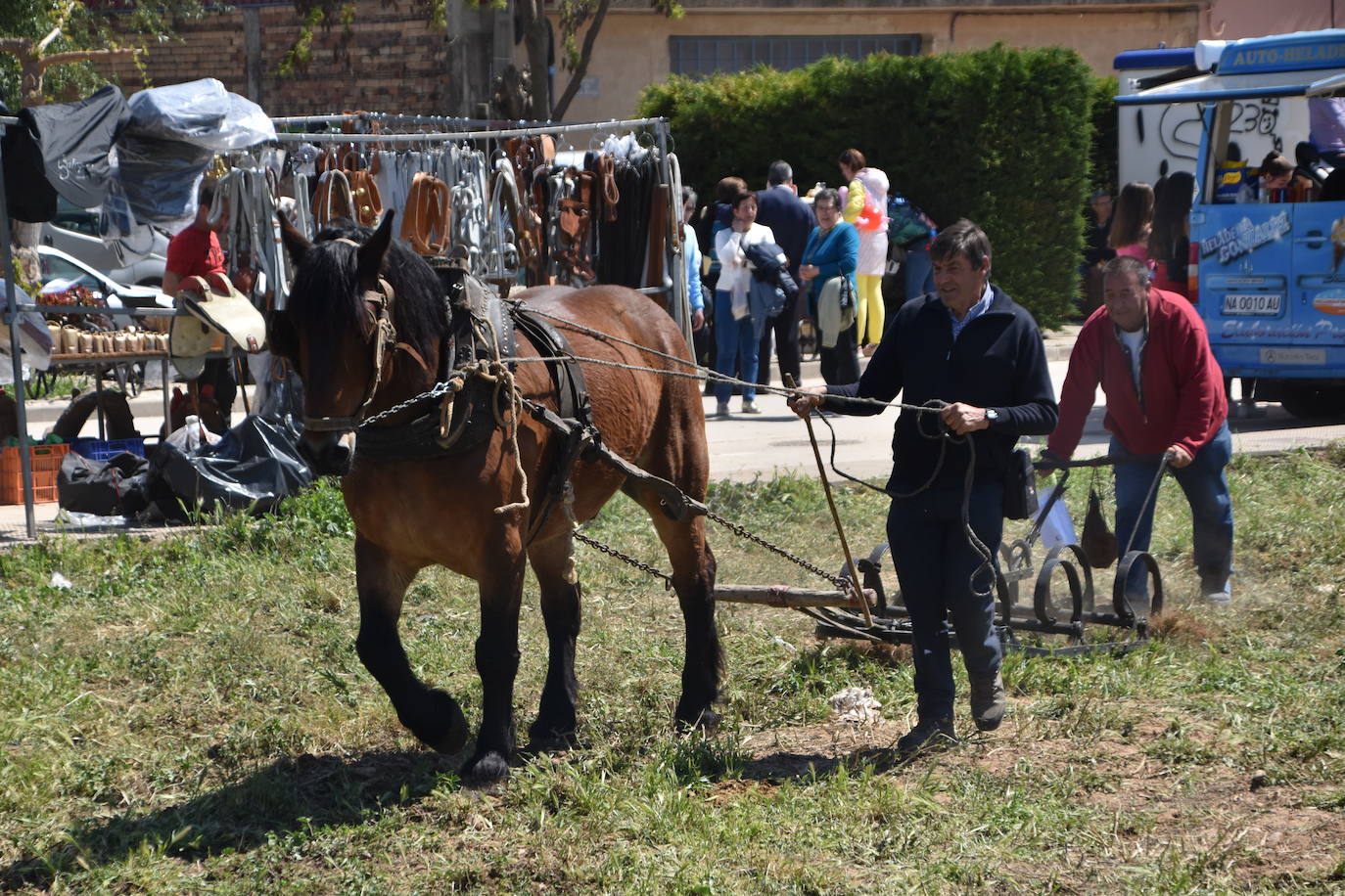 Fotos: Feria del ganado equino en Rincón de Soto