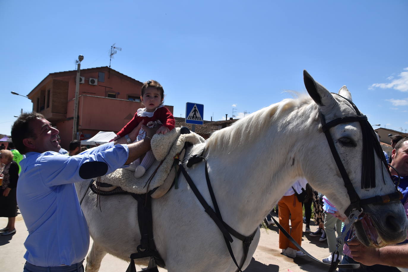 Fotos: Feria del ganado equino en Rincón de Soto