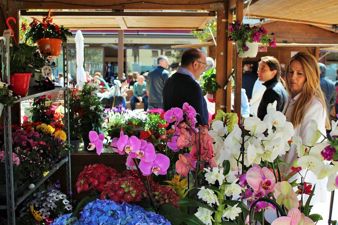 Fotos: 5ª Feria de Productos de Albelda