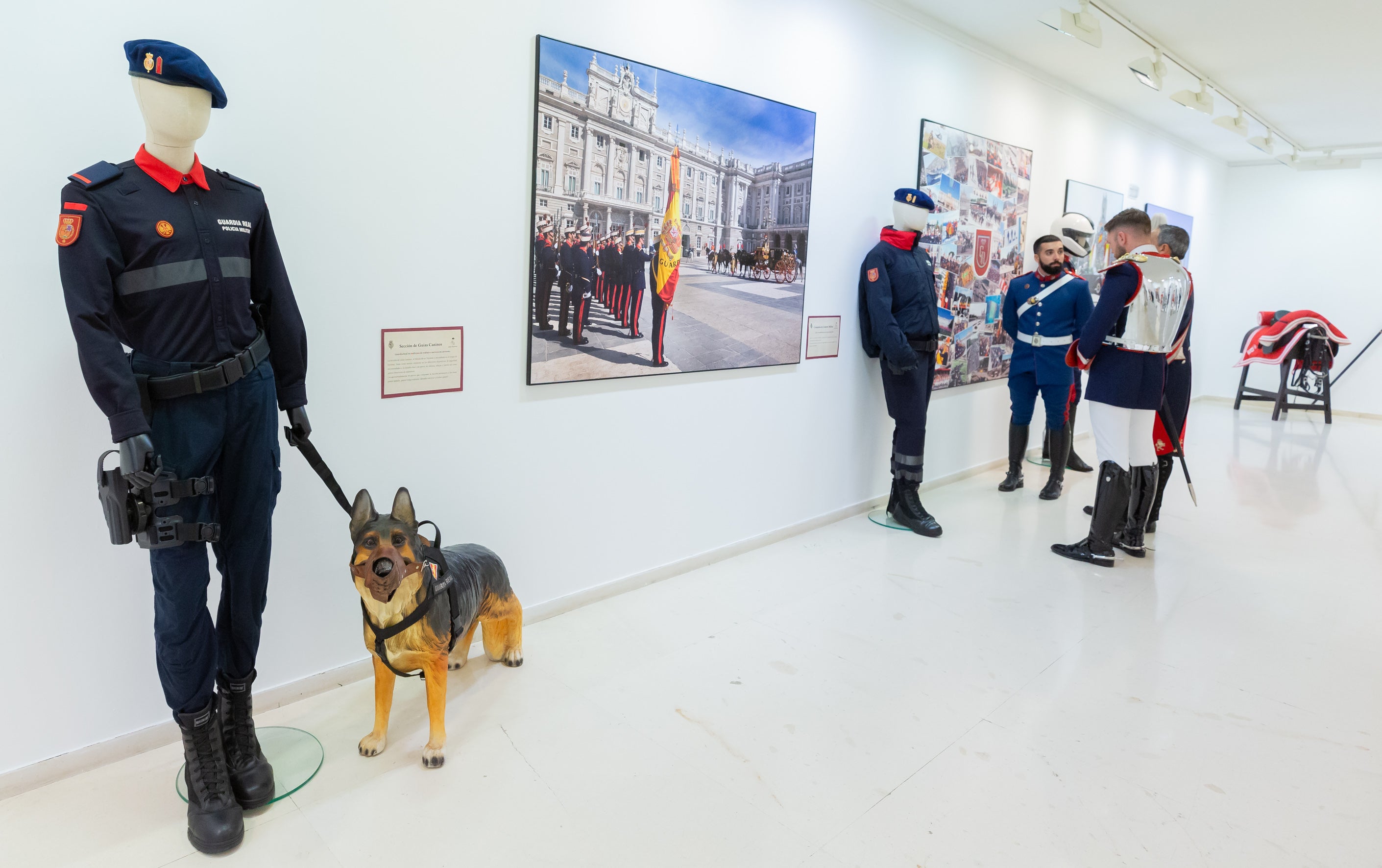 Fotos: La Guardia Real acerca su historia, desde 1504, en una muestra en el Ayuntamiento de Logroño