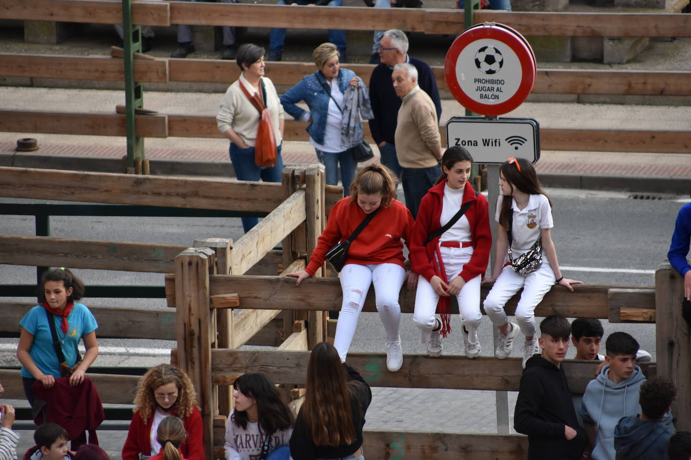 Fotos: Vacas de noche y ranchos en fiestas de Quel